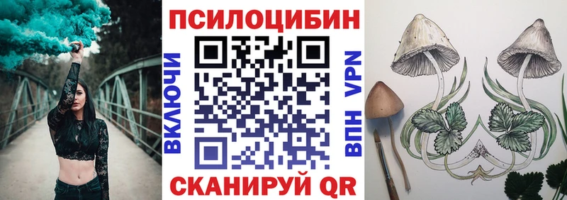 Купить где  Лосино-Петровский  Псилоцибиновые грибы Psilocybe 